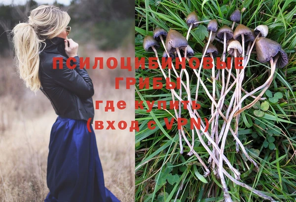 первитин Богданович