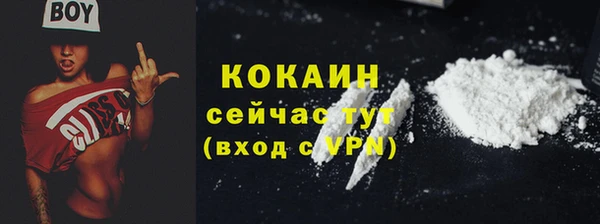 первитин Богданович