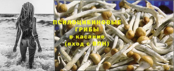 экстази Богородицк