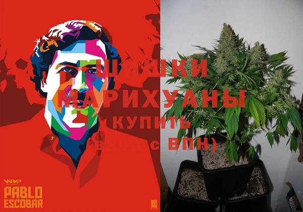 экстази Богородицк
